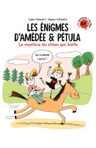 Les enigmes d-amedee et petula - t04 le mystere du chien qui boite 7 ans