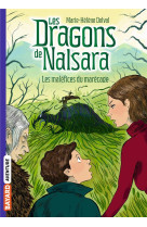 Les dragons de nalsara, tome 11