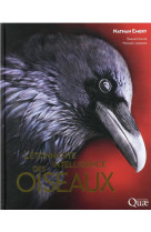 L'étonnante intelligence des oiseaux