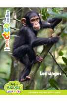 Bioviva - les singes