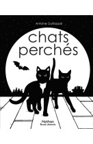 Chats perchés