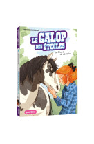 Le galop des étoiles - le cheval du médaillon - tome 7