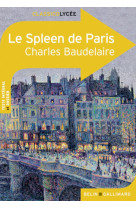 Le spleen de paris