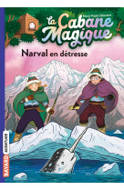 La cabane magique, tome 54