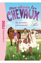 Mes amis les chevaux 01 - un nouveau pensionnaire