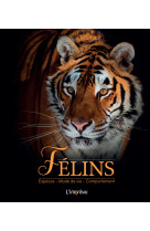 Félins