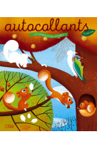 Autoc nature animaux  foret