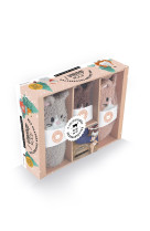 Coffret mes chatons- chaussettes