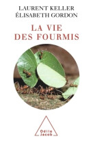 La vie des fourmis