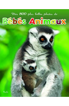 Bébés animaux