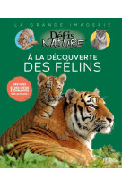 à la découverte des félins