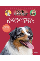 à la découverte des chiens