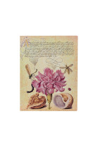 Carnet flexis oeillet rose mira botanica ultra n.l. 176pg.