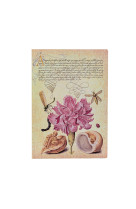 Carnet flexis oeillet rose mira botanica midi n.l. 176pg.