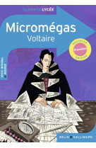 Micromégas