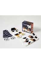 Coffret les goûters de la famille chat chaussettes, 2e éd