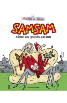 Samsam - ma vie de héros, t05 : samsam adore ses grands-parents