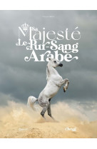 Sa majesté le pur-sang arabe