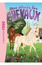 Mes amis les chevaux 10 le concours de beaute