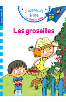 Les groseilles cp niveau 3