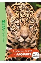 The wild immersion t09 expedition au pays des jaguars