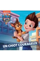 Un chiot courageux - pat' patrouille film