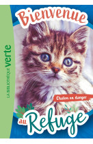 Bienvenue au refuge t01 chaton en danger