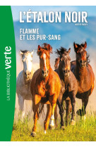 L'etalon noir t11 flamme et les pur-sang