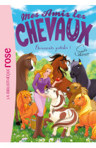 Mes amis les chevaux t43 etonnants pottoks