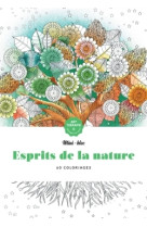 Mini-bloc d'art-therapie esprits de la nature