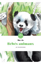 Bebes animaux