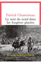 Le vent du nord dans les fougeres glacees