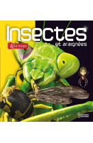 Insectes et araignees a la loupe