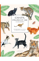 Chats felins et cie a colorier