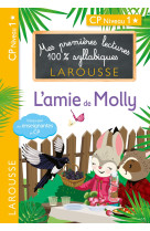 L'ami de molly cp niveau 1