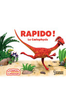 Rapido le coelophysis