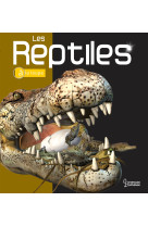 Les reptiles a la loupe