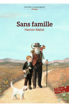 Sans famille texte abrege