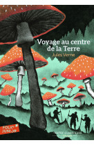 Voyage au centre de la terre texte abrege