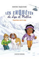 Les enquetes de lya et mathis - disparitions sous la neige