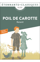 Poil de carotte