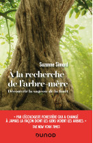 A la recherche de l'arbre-mere - decouvrir la sagesse de la foret