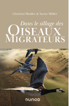 Dans le sillage des oiseaux migrateurs