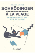 Schrodinger a la plage - la physique quantique dans un transat