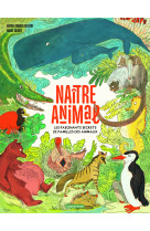 Naitre animal - les fascinants secrets de familles des animaux