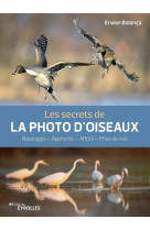 Les secrets de la photo d'oiseaux - reperag es - approche - affuts - prise de vue