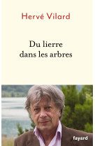 Du lierre dans les arbres