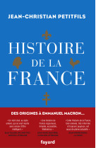 Histoire de la france