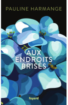 Aux endroits brises