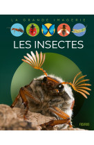 Les insectes